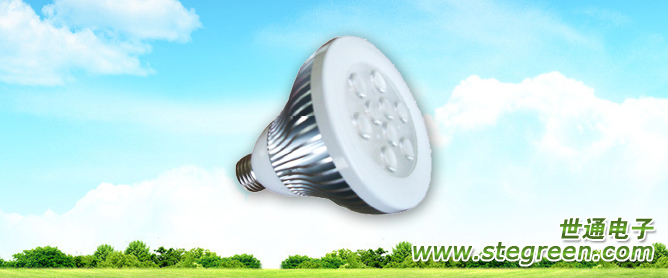 LEDPAR30(10w)